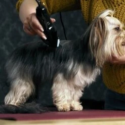 Moser Schermaschine Typ 1400 -Wuff Welt 02df9a45ad10057f7cdfbb122412b44ddb24fd91 7c7f90f149fd71377858189c53a8f5cca4170f60