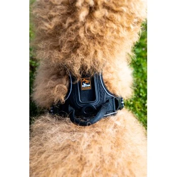 Fressnapf Tracker Pathfinder Geschirr Set S 5 Fressnapf Tracker Pathfinder Geschirr Set S – Bild 5