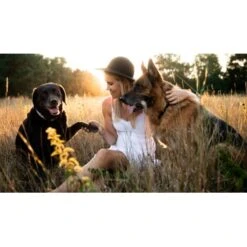 Mammaly Super Protect 110g -Wuff Welt 05c9b1b79b877db2952fc05b88ebc49c5e35a7e1 1472890 1