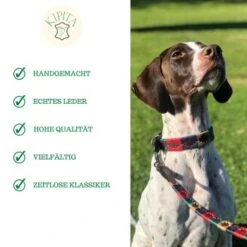 Kipita Polo Hundeleine Classic -Wuff Welt 06c4280ca9f0f4d08f00ed0e586db0444f1c823b 1410955 de DE 3f24f27a92305e3175d49b5ce78d80f33ebe0dedEgP7aq