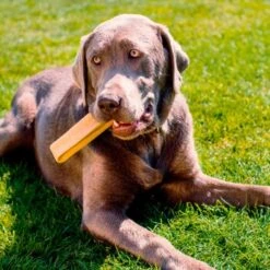 Larsson Yaky Kaukäse XL -Wuff Welt 06d40594a1ce5b7fb2b9172bc3bce44107037525 1327624 de DE 620ca0cdbae088fab54671a36b17dafb3fbfc6ccVv825o