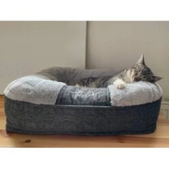 TrendPet LunaLounge Hundebett Grau XS -Wuff Welt 0728c70755a6e7f26a97623f4647276c91956301 1347913 de DE 7a242f1d7422da3a102018e6d4e1d7023c8543a0wM9FgO