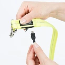 AniOne LED-Leucht-Joggingleine -Wuff Welt 07c332f5d4d9e2a31f63b71d8ad5a24a1433ebe3 7bbc325587ff4dbbdffaca386314904882d94061