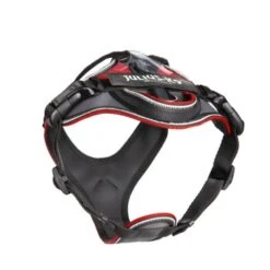 Julius K9 JULIUS-K9 IDC Longwalk Rot/ Grau XS -Wuff Welt 08bdcefa8b4fef70cae2dcb79e97594cc4967a61 1346666 de DE K9 2