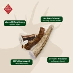 ChronoBalance Rothirsch Geweihstange Ganze Und Runde Stücke 300 G 11 ChronoBalance Rothirsch Geweihstange Ganze Und Runde Stücke 300 G -Wuff Welt 08e6e76c5c3e8863d054d54fbc69325510bb6eb3 1409643 de DE 97f6faa2e066481717c6e9970bb381a3824303b8rqJ9OV