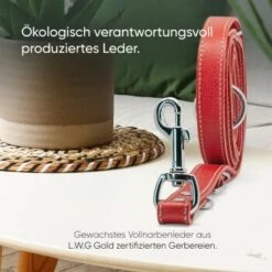 Freudentier Hundeleine Aus Leder, Verstellbar Rot 2 Cm -Wuff Welt 095e47da8f5a307b6f5025838b38597754678a1e 1655244 de DE 8e350e610570bdb83aafc866d93ab02d6b2880d0RXpT0B