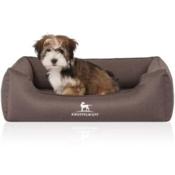 Knuffelwuff Orthopädisches Wasserabweisendes Hundebett Leon Aus Velours Mit Handwebcharakter Braun/ Grau M-L -Wuff Welt 095e6c1154a841bb25b688a2975a1ca7dc853d6b 1411958 de DE ebfdbd28b0a3bee4fb54dbbfdf7d2e8e17dc8ea6tn7wgq