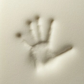 Rexproduct Otto Orthopädisches Hundebett Grau S-XL Dunkelblau S 4 Rexproduct Otto Orthopädisches Hundebett Grau S-XL Dunkelblau S – Bild 4