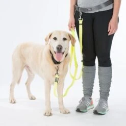 AniOne LED-Leucht-Joggingleine -Wuff Welt 0c872bf6382998b141f45fbfb4af3aef217593db 4460cbc445b3acb16f68236254f1a5dd5fbac998