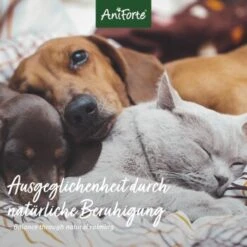 Aniforte Bachblüten Wohlfühl -Wuff Welt 0cd967852dfdee41ec01be7a685b667875afe26e 1480464 de DE 560f89e516cd19f6fa4c035a9f065c2ddb1ab7432PWc6B