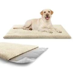 Knuffelwuff Kälteabweisende Und Wärmeisolierende Thermodecke Beige L -Wuff Welt 0d048450d3677bbe66ac815d46c1573d77ebc64b 1411793 de DE 26a54309e701e992732d9c1d25392889d55befc3ZZNFAK