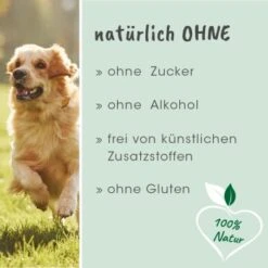 CdVet DarmAktiv Hund & Katze -Wuff Welt 0dbc34c210e91bb410827be217bc3fba77c3fd32 1049219 de DE 5094779605b36bf328986df22be8858164a90f82nvWVFR