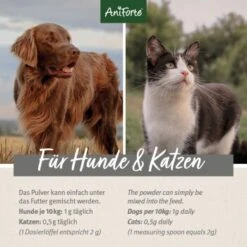 Aniforte Teufelskralle Pulver 250 G -Wuff Welt 1129af5e6fdd7620bcbe603f840f1fa32ab4f263 1337239 de DE d209e79c0d9935be673cb478ddae6b5f270dff2bSkXDU9