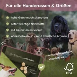 Pawlie's Gelenk Fit Tabletten Hund (100 Stück) -Wuff Welt 13c2aa37a08da916b1cd8014d264ba1cb5e12204 1626201 de DE 016987b286bf5101f5ed2a1610825cada7f4cd39esKrs5
