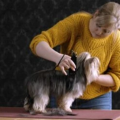 Moser Schermaschine Typ 1400 -Wuff Welt 1559dc1580d12f0825069dc0425234fe0b455a1c 1f8a3eb831d5c4fcc001113b4dafee6e3054f4c4