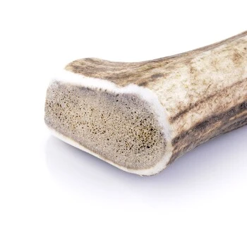 Larsson Geweih L Ca. 120-160g 3 Larsson Geweih L Ca. 120-160g – Bild 3