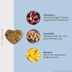 FAVLY Petfood Nature Cookies Pute 360 G 9 FAVLY Petfood Nature Cookies Pute 360 G -Wuff Welt 17125072aea52cbc41fbe81e7d3c02a43cf372ed 1474002 de DE ddf42b91b98ad974a4fe3244cb13576cddc887c9Btb316