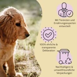 FAVLY Petfood Premium Naturkauartikel Kaninchenohren Mit Fell 360 G -Wuff Welt 1723031773900f8974b6582f7b858aabe5129f6d 1473998 de DE 803a18d1981b28cac6cbf941640c9f1c7007ec8b2gtdU1