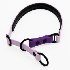 THE DOG IDEA Zugstopp Halsband Neongelb XS