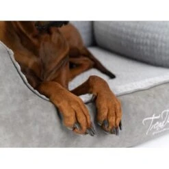 TrendPet VitaBed Style Orthopädisches Hundebett Grau S -Wuff Welt 1ab0715e2abedd704cef19debbfb3fb5005350f1 1390626 de DE 39c90883b3b1f108ce89c25d7bd76a1b2516b420pGeUjP
