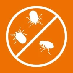 Ardap Zecken- & Floh-Halsband Für Hunde M -Wuff Welt 1bc61f7f2a6b5fad74935e26e6e291a622b94e71 1221081 de DE 216402434a597a152b5e3e2d02d3c041c3a61282i3TU7T