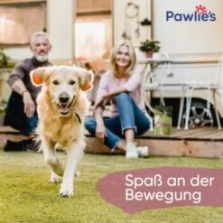 Pawlie's Gelenk Fit Tabletten Hund (100 Stück) -Wuff Welt 1c6a6429b71eab5415d0214c381f07051a1fc258 1626201 de DE fc246e46dc05978124c2e49ef6a7667224e432edKNFNet