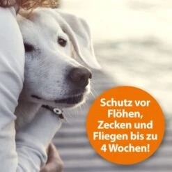 Ardap Flohspray Zur Anwendung Am Tier 250ml -Wuff Welt 1e38b7747570a91b3fd009f3974005664ac2d015 1227735 de DE 3ce23e78efb3686272f02c09e5ca6ade74ba7902gmBWUo