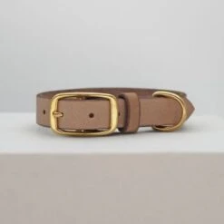 THE DOG IDEA Leder Halsband Beige XL -Wuff Welt 1ec48d2972c0e1dfe6ea7297404e371c480b6f93 1674216 de DE e62f018514b26e403cf6836ac6a855f79abfd60fyH1vTH