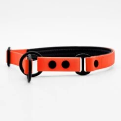 THE DOG IDEA Zugstopp Halsband Orange XS -Wuff Welt 1ed8fefef63b371ec4cda43f60e91d6f1ca94f50 1499712 de DE a31f6753e5b48355b1f0f63cd519e5adcd14cfd067hyQ3