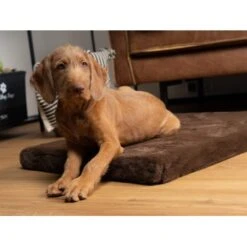 TrendPet VitaMedog Orthopädische 5 Cm Matratze Braun XS -Wuff Welt 1f7e063200c2d564362d194b0af60fb3ade9f566 1223160 de DE ed537fa91b415038159f45fe33dd09ae07f5456fjrdc9Q