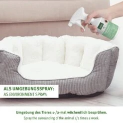 Aniforte Zeckenspray Für Hunde 100ml 8 Aniforte Zeckenspray Für Hunde 100ml -Wuff Welt 1f85d440ca1eeee643e4f393ee7d5ae590b94bfc 1501153 de DE a91102feca03452136bdb7a3a5e555023f3cd93dLCLj1o