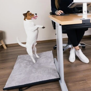 Freudentier Faltbare Hundematte Für Unterwegs S-M 6 Freudentier Faltbare Hundematte Für Unterwegs S-M – Bild 6