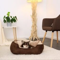 Lionto 2-in-1 Hundebett Hundekissen S -Wuff Welt 202f6c88907aa39580686112de0e079c27ae065c 1657978 de DE 008693473255b11eee4516f3a5b88e8e86867c8dcz7CzM