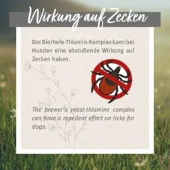 Aniforte Zecken Schild (bis 10kg) Für Kleine Hunde 60 Kapseln -Wuff Welt 22de14cd0402c581e833c36637ee1b23c246aa74 1332831 de DE 6700813aa03bffd9cf2beb8a7d73b7965a418ce58Ct8JX