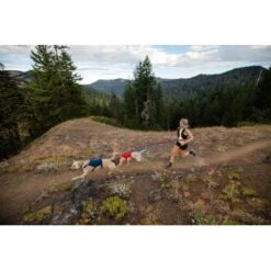 Ruffwear Switchbak™ Geschirr Rot L-XL -Wuff Welt 23dd195703ee00ec85cacb65e74729e3bb506fa0 1651575 de DE 377a773ec9492fbe4e6e0591699f3d1ad7b1f7b1ZbmBUY