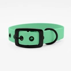 THE DOG IDEA Biothane Halsband Mint Schwarz XS -Wuff Welt 25cf8844167d35dc6a0ede8247bd0c1c48926912 1679203 de DE 5dfc334cca991c733ec62b12b4247e7b946f4cb7XO7Lzj