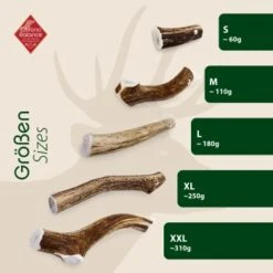 ChronoBalance Rothirsch Geweihstange Ganze Und Runde Stücke 300 G 10 ChronoBalance Rothirsch Geweihstange Ganze Und Runde Stücke 300 G -Wuff Welt 26abec1cc05fc1329a555525fdb7a71f1bde973b 1409643 de DE b53ead287655d4956b27f33d8e355158a7ac55de6JKqvP