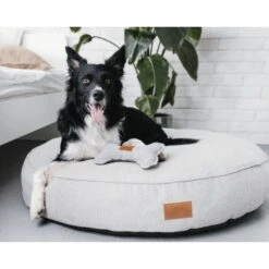 Freudentier Kuscheliges Hundebett Mit Memory Foam ⌀100cm Hellgrau 1 M -Wuff Welt 26c38c5aebcd52b552ff5bdb5460158d8e88e39e 1421323 de DE 04f9a7f7bb078bb1ab33dcbe80d921f3aaa9d108u5MVfR
