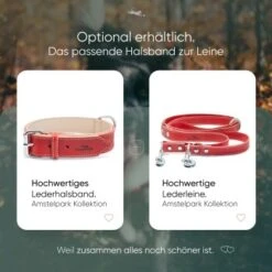 Freudentier Hundeleine Aus Leder, Verstellbar Rot 2 Cm -Wuff Welt 2962c2e598bc6cbfe94ea7ab0bc9c46ed7dc929e 1655244 de DE f81a0a5aa37f11b9f30726c77188c6f92aabb009nCQB91