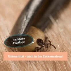 BeG Buddy Fellspray Zecke 9 BeG Buddy Fellspray Zecke -Wuff Welt 297119792bee87c54c4080010b8d6149223d300c 1457254 de DE b0426d8711049b0aafb9b17aaa93a89672536d279Kmo8x