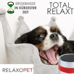 RelaxoPet PRO Entspannungs-Trainer HUND -Wuff Welt 2a2890af55504b316fb288b48c33f73cd8cd6818 1315705 de DE 86a89a3dec2d79cadfd859276b25e24b347ce6a68JwiKQ