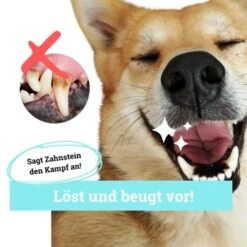 BeG Buddy Zahn Weiß Dental Spray, Zahnpflege & Maulhygiene Hund -Wuff Welt 2b26d8c9897450ebcdc3208b54321074a39fd8e8 1457255 de DE d036d3de3fb2bf618dcbd8071c7342bd7ffedc2f5CGqW6