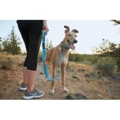 Ruffwear Web Reaction™ Halsband Blau S -Wuff Welt 2cdfdccf008759cf17f48f239379359c334e9357 1651469 de DE 0072b4ff1341ecdf919c350193ff39629ad782b0mKg81g