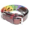 Kipita Polo Halsband Rainbow S