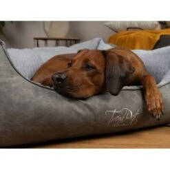 TrendPet VitaBed Style Orthopädisches Hundebett Grau S -Wuff Welt 2e22e76b9890cab2b347eb169b198c1328e5fa27 1390626 de DE 4bc3134fc91eb5037474c4e687bb289c40b73b9bIhkXpe