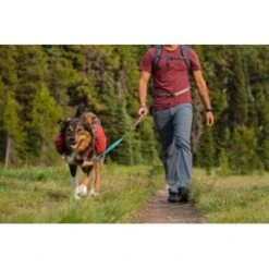 Ruffwear Flat Out™ Leine Blau/ Blau 18 Ruffwear Flat Out™ Leine Blau/ Blau -Wuff Welt 301e01aee973227587232acfee5c9b2d71e52668 1364254 de DE def57e85246601bac5529b422afe6912dd25c79c9pNtmU