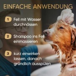 Pawlie's Hundeshampoo Für Langhaar 8 Pawlie's Hundeshampoo Für Langhaar -Wuff Welt 31fb70412552456c4a02729fa462588fcf0d4e5b 1626203 de DE 25d5ddf898b492fba858f49f2f6f7a8a36500b93qNDG8c