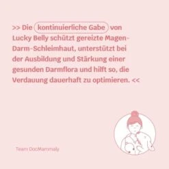 Mammaly Lucky Belly 110g 12 Mammaly Lucky Belly 110g -Wuff Welt 325f9b0871fd1543d080de0392bb186d73857989 1472889 1