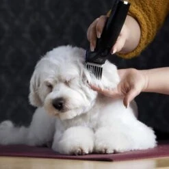 Moser Schermaschine Arco Pro -Wuff Welt 365e29754c538dcc259069da0cc9793e69d0b654 8ffdd5bc19f3a136ec865d6030d040722a7ad1c3