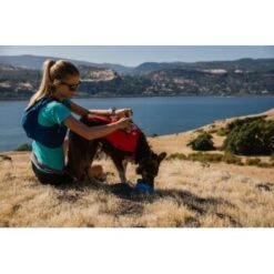 Ruffwear Switchbak™ Geschirr Rot L-XL -Wuff Welt 36627c6d89b8694143fad3770a02ccde77e7d7a6 1651575 de DE f8932f895fb04354463c1c418e28b73edfe4f661JkyILG